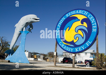 Dolphin Research Center en Floride Grassy Key Banque D'Images