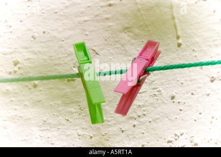 Deux ergots sur la ligne de lavage Banque D'Images