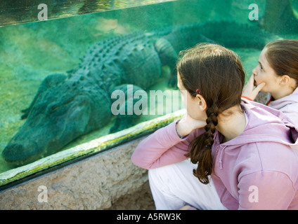 Deux jeunes filles à la paroi de verre par alligator à Banque D'Images