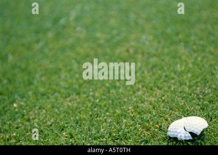 Balle de golf sur l'herbe écrasée Banque D'Images