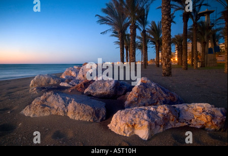 Palmiers sur la plage Cariheula, Torremolinos, Andalousie, Espagne Banque D'Images