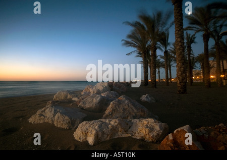 Palmiers sur la plage Cariheula, Torremolinos, Andalousie, Espagne Banque D'Images