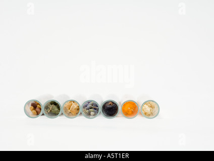 Tubes à essai contenant des herbes séchées, fleurs, graines et Banque D'Images