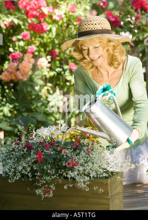 Senior woman gardening Banque D'Images