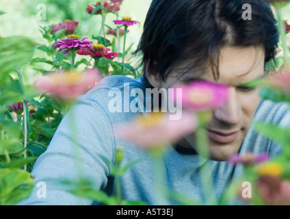 Homme assis dans les fleurs Banque D'Images