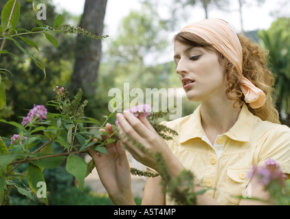 Young woman gardening Banque D'Images