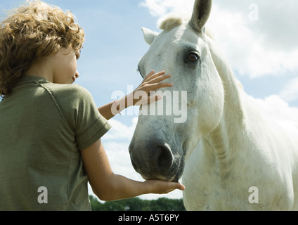 Boy petting horse Banque D'Images