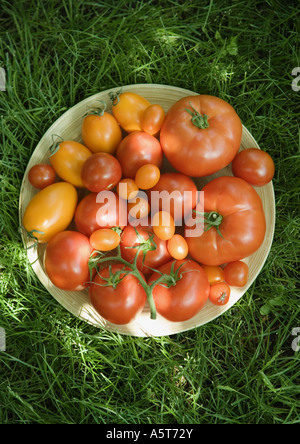 Assortiment de tomates dans un bol, sur l'herbe, high angle view Banque D'Images