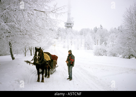 La Pologne, Saint Croix un traîneau à cheval et wagoner Banque D'Images