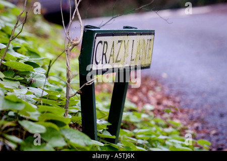 Une rue nommée Crazy Lane, East Sussex. Photo par Jim Holden Banque D'Images