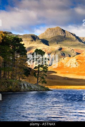 Blea Tarn et Langdale Pikes en automne, près de Little Langdale, Wrynose Pass, Parc National de Lake District, Cumbria, England, UK Banque D'Images