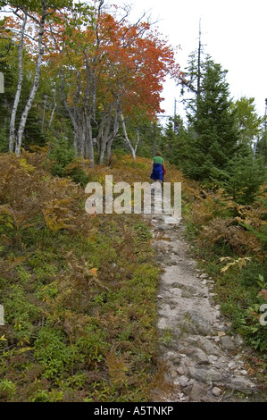 Sentier Mtn Broad Cove, Cape Breton Highlands NP Nova Scotia Canada Banque D'Images