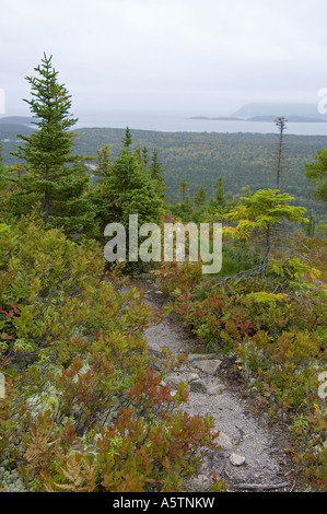 Sentier Mtn Broad Cove, Cape Breton Highlands NP Nova Scotia Canada Banque D'Images