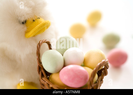 Traditionnelle des oeufs de Pâques dans un panier avec petit canard Banque D'Images