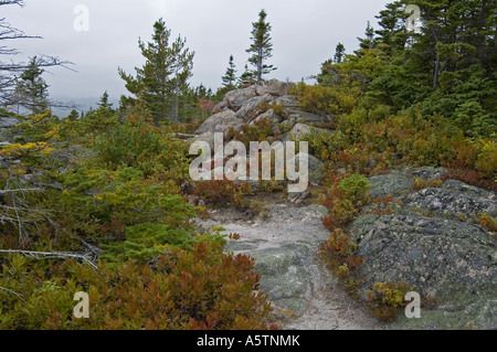 Sentier Mtn Broad Cove, Cape Breton Highlands NP Nova Scotia Canada Banque D'Images