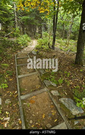 Sentier Mtn Broad Cove, Cape Breton Highlands NP Nova Scotia Canada Banque D'Images