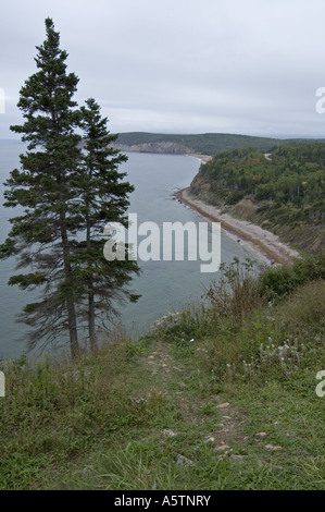 Littoral est Hautes-Terres du Cap-Breton Nouvelle-Écosse Canada Parc Nat Banque D'Images