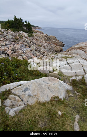 Littoral est Hautes-Terres du Cap-Breton Nouvelle-Écosse Canada Parc Nat Banque D'Images