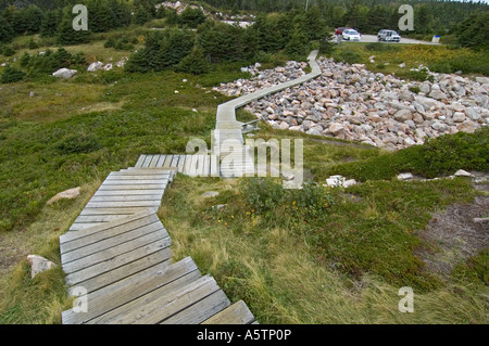 Boardwalk Green Cove Cape Breton Highlands Parc Nat Nova Scotia Canada Banque D'Images