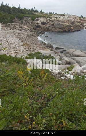 Sentier du littoral Hautes-Terres du Cap-Breton Nouvelle-Écosse Canada Parc Nat Banque D'Images