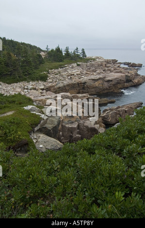 Sentier du littoral Hautes-Terres du Cap-Breton Nouvelle-Écosse Canada Parc Nat Banque D'Images