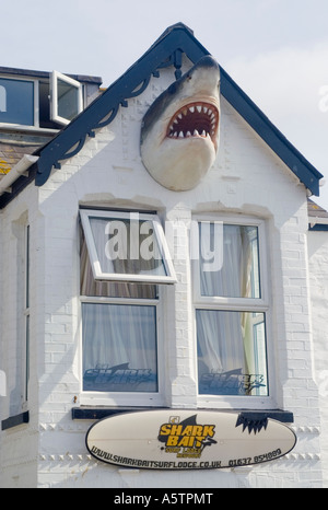 La tête de requin sur mur à l'extérieur surf lodge, Newquay, Cornwall, UK Banque D'Images