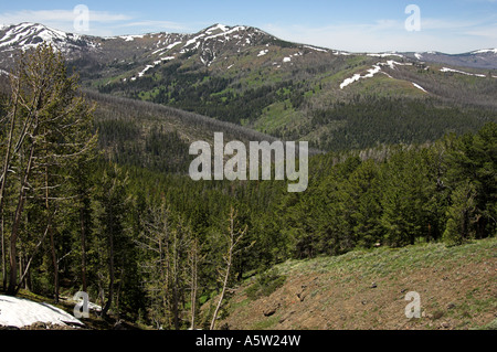 Mt. Washburn de Dumraven passent, Yellowstone. Banque D'Images