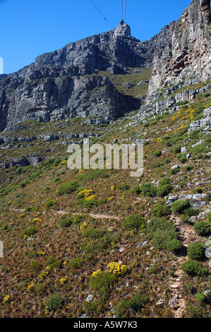 Les randonneurs de la voie ascendante jusqu'Table Mountain téléphérique sous route Cape Town Afrique du Sud Banque D'Images