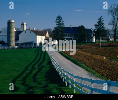 Ferme laitière AMISH / Comté de Lancaster, Pennsylvanie Banque D'Images