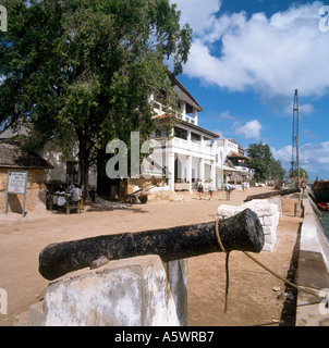 Front de mer dans la ville de Lamu, l'île de Lamu, Côte Nord, Kenya, Afrique de l'Est Banque D'Images