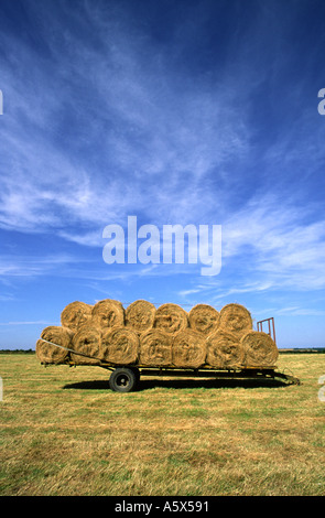 Remorque entièrement chargé de foin en attente de collection dans un Nord du Dorset County Farm field England UK Banque D'Images