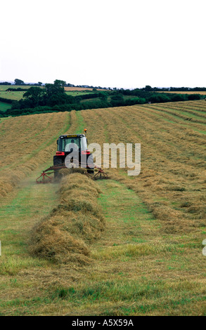 Faire du foin sur une ferme nord du Dorset England UK Banque D'Images