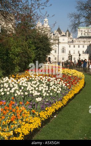 Affichage floral à St James's Park et Horse Guards, London, England, UK Banque D'Images