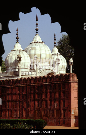 Moti Masjid mosquée Pearl, le Fort Rouge, Delhi Banque D'Images