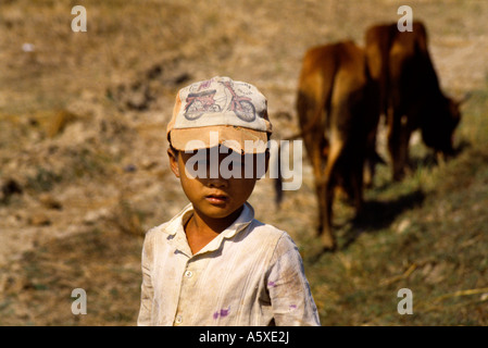 Delta du Mékong Vietnam Boy & Cattle Banque D'Images