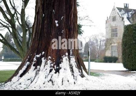 Wakehurst Place. Ardingly, West Sussex England Banque D'Images