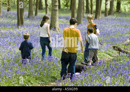 Enfants jouant - Ashridge Woods Bluebells - Buckinghamshire Banque D'Images