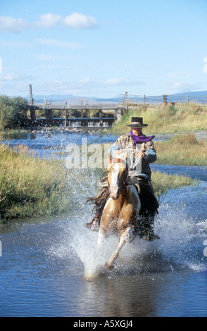 Cowboy à cheval dans une rivière de l'Oregon USA Banque D'Images