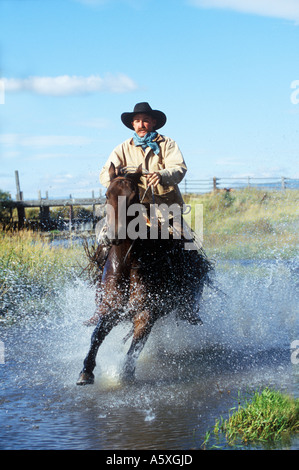 Cowboy à cheval dans une rivière de l'Oregon USA Banque D'Images