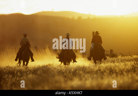 Trois cowboys à cheval au coucher du soleil l'Oregon USA Banque D'Images