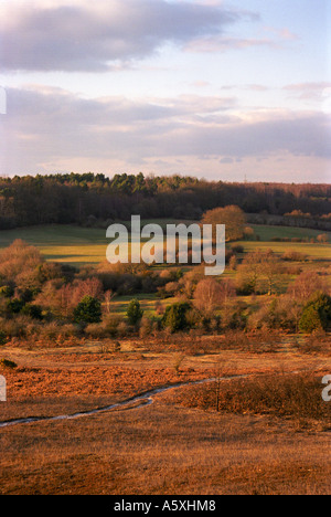 Vue vers Hale Purlieu Nouvelle Forêt Hampshire UK Banque D'Images