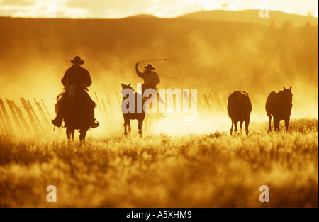 Chevaux Cowboys au coucher du soleil l'Oregon USA Banque D'Images