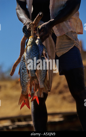 Être pêcheur sur le chemin du retour (Madagascar). Retour de pêche sur les rives du fleuve Tsiribihina (Madagascar). Banque D'Images