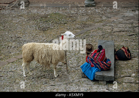 Une mère et son lama (Cuzco - Pérou). Mère péruvienne et son lama (Cuzco - Pérou). Banque D'Images