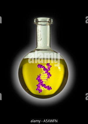 Molécule d'ADN générées par ordinateur, flottant dans un bécher de liquide jaune Banque D'Images