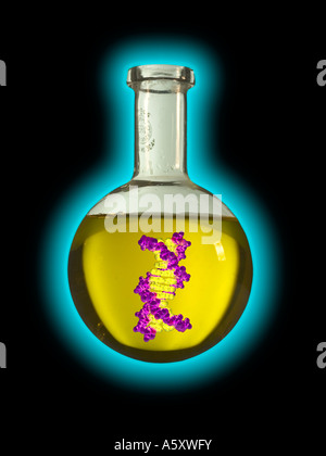 Molécule d'ADN générées par ordinateur, flottant dans un bécher de liquide jaune Banque D'Images