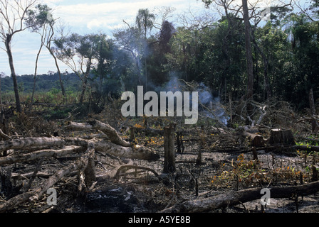 La déforestation, le Paraguay Brésil frontière. Banque D'Images