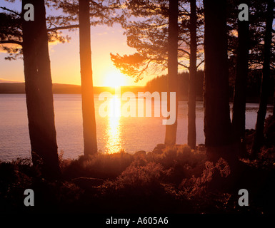 Coucher de soleil sur un lac ; Kielder Water, Northumberland, England, UK. Banque D'Images