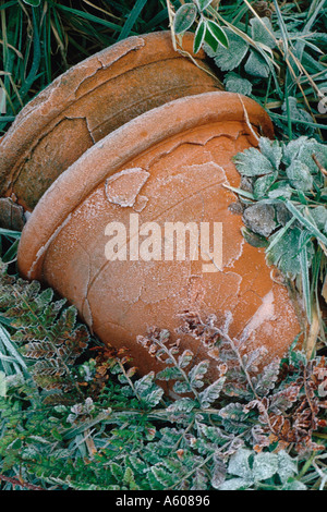 Vieux pots en terre cuite couvert de gel dans le jardin à l'abandon Banque D'Images