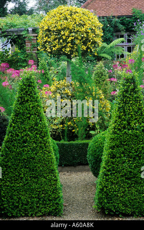 East Ruston Old Vicarage Topiary garden fort holly Ilex Banque D'Images